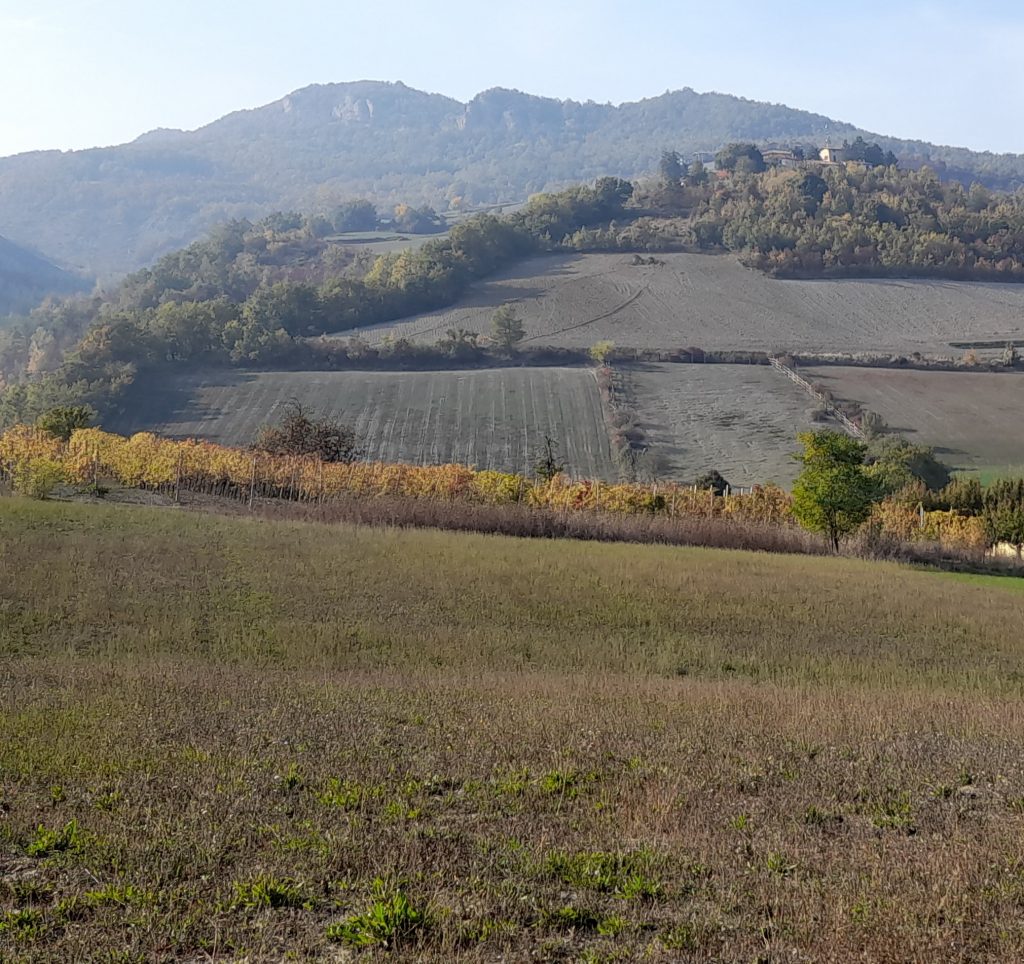 Ho preso un campo perché  mi lavori